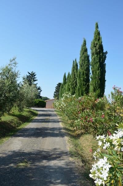 Agriturismo Rosa Dei Venti Pomarance Exterior photo